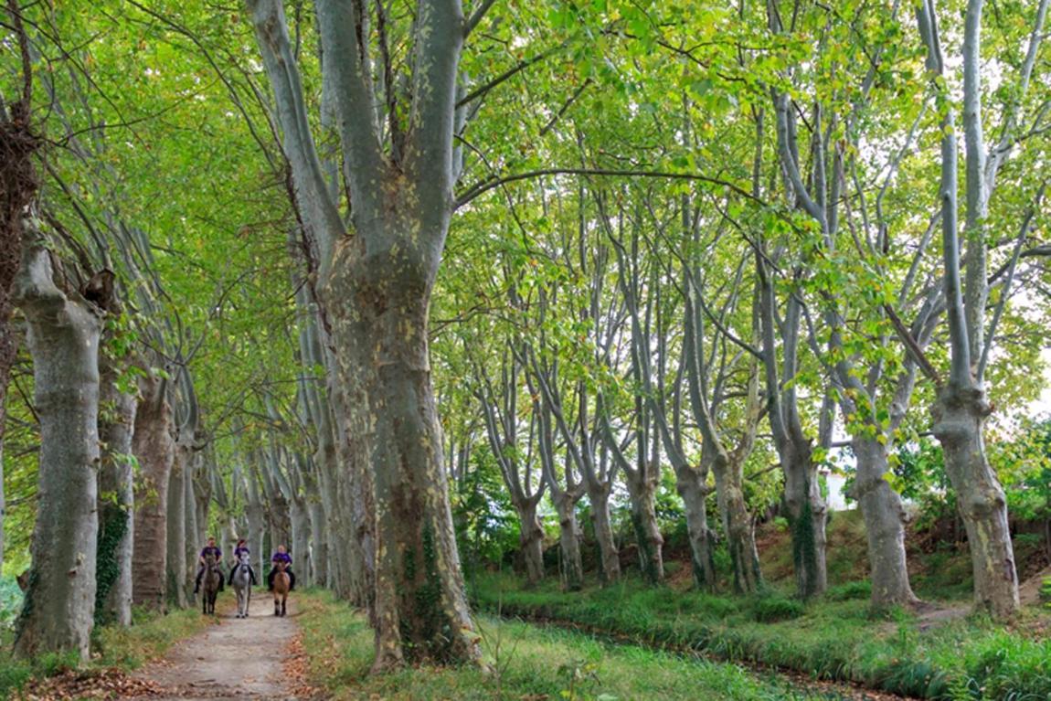 16 Chemin Des Ratequats Villa Mirepeisset Exterior photo